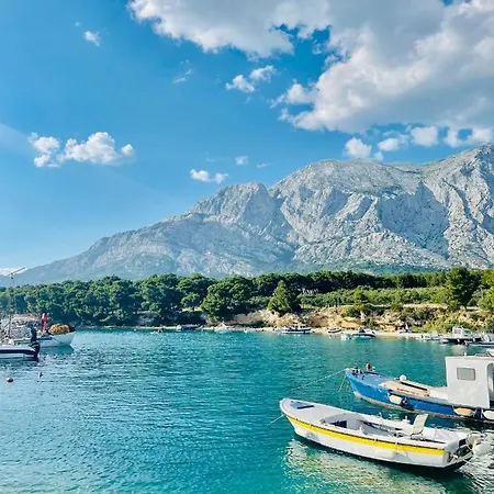 Tinel Boutique Promajna