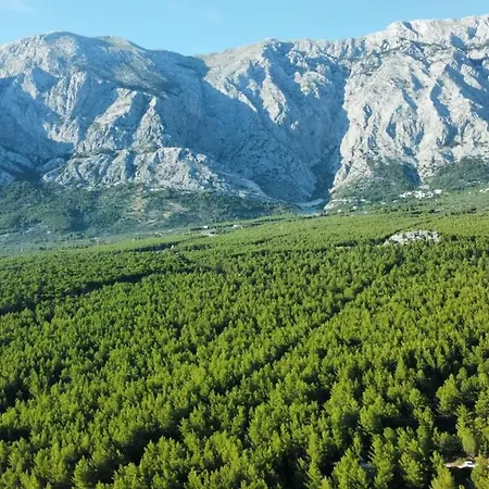 Apartamento Tinel Boutique *